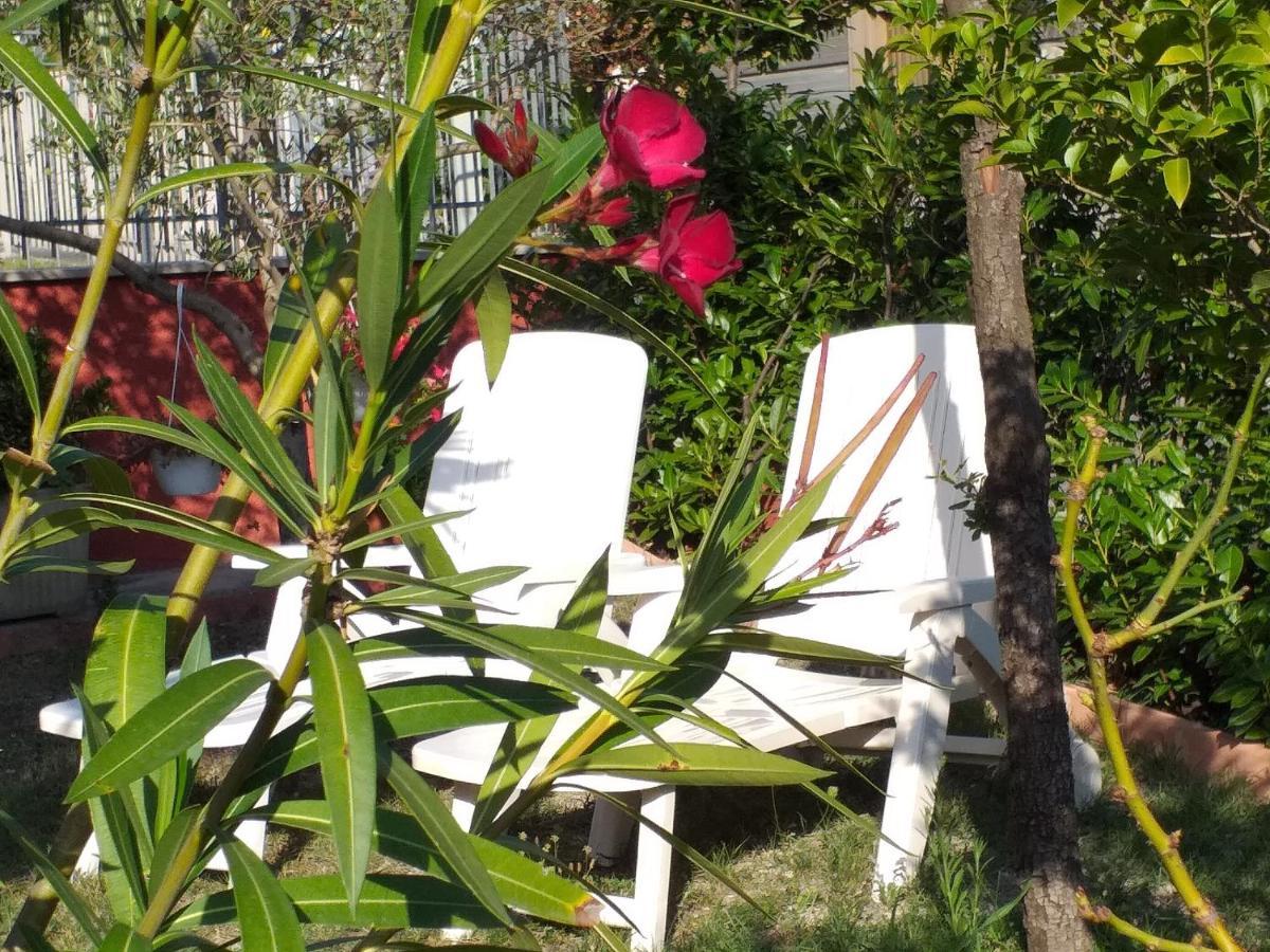 Bed & Breakfast La Rosa Rossa Cagli Exteriör bild